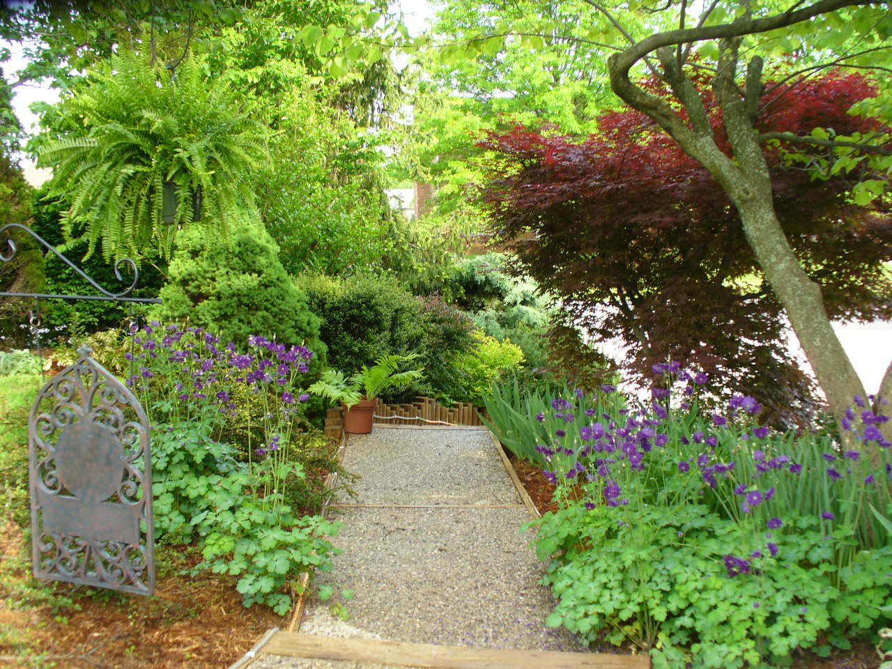 Our gardens, 2008