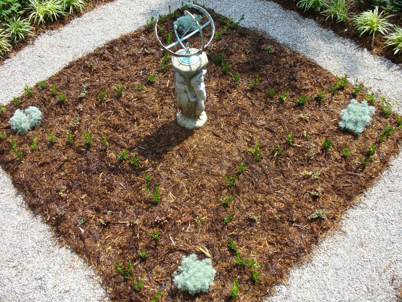 Elysium's Knot Garden (newly planted)