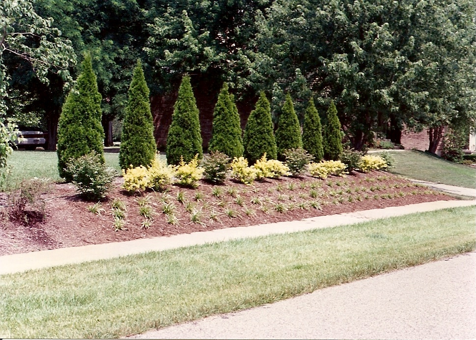 Our gardens, 1994