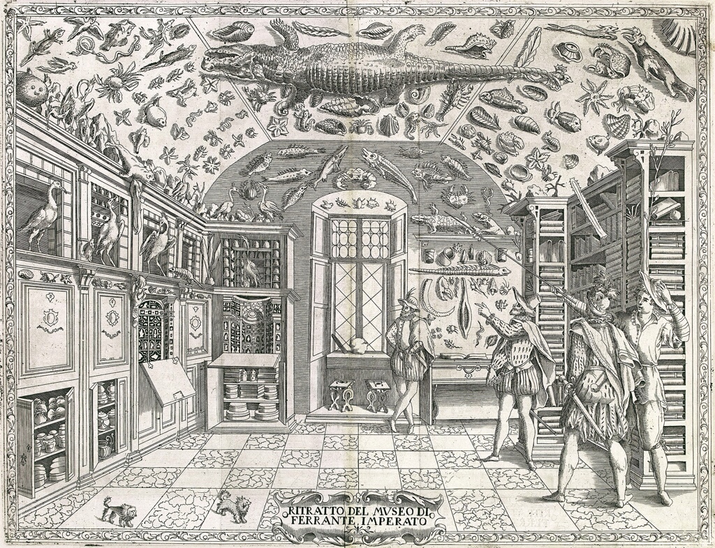 Kunstkammer, Wunderkammer, Cabinet of Curiosities (old engraving)