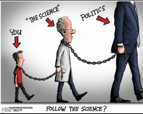 follow-science-np-1